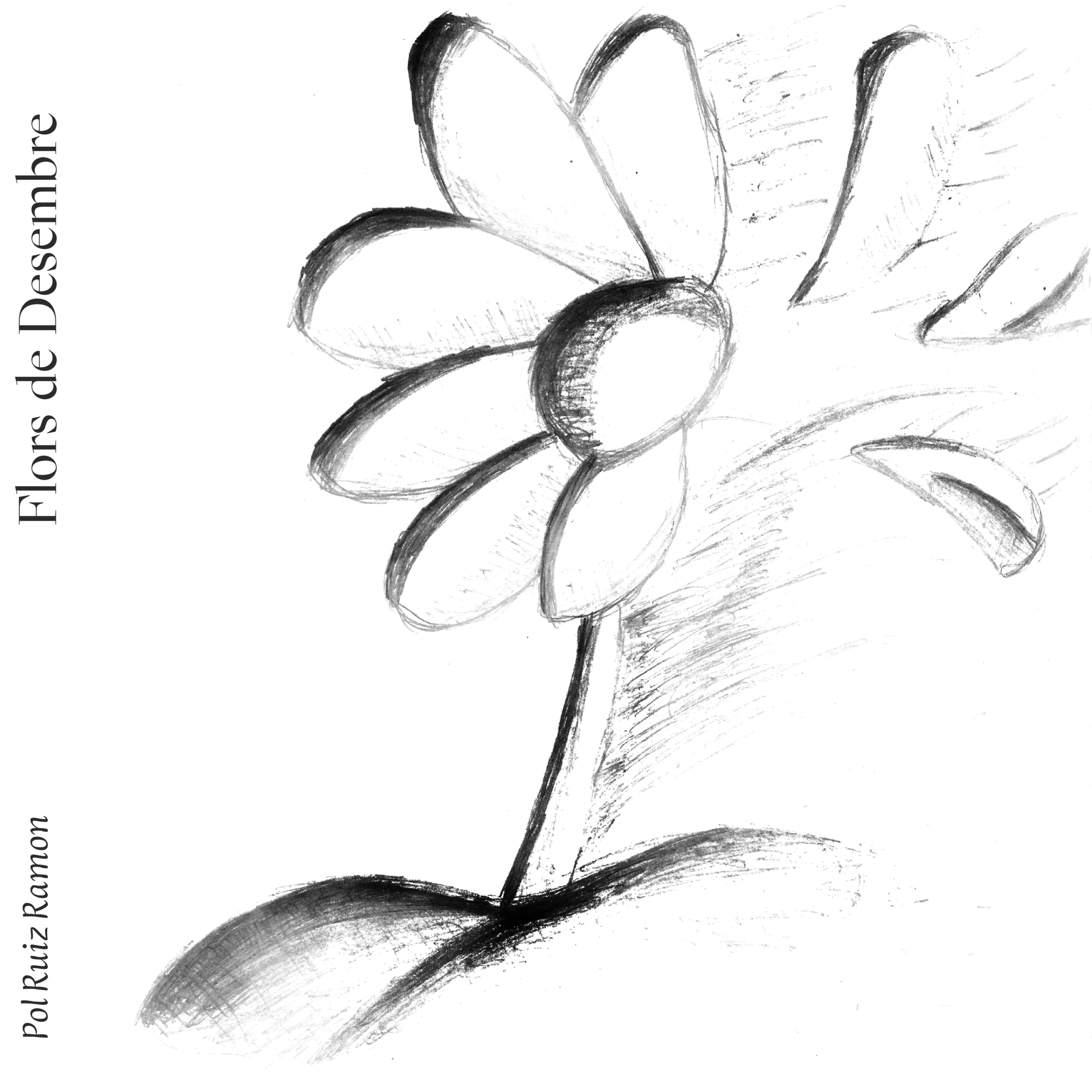 Flors de Desembre